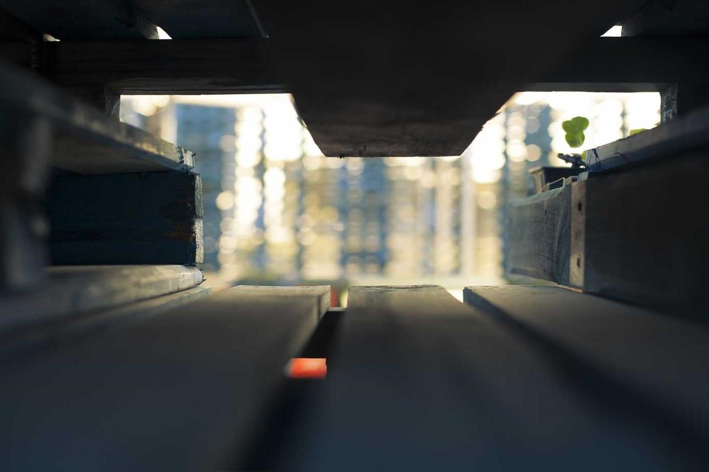 Maxime aut omnis illo ab quam magni et soluta eum