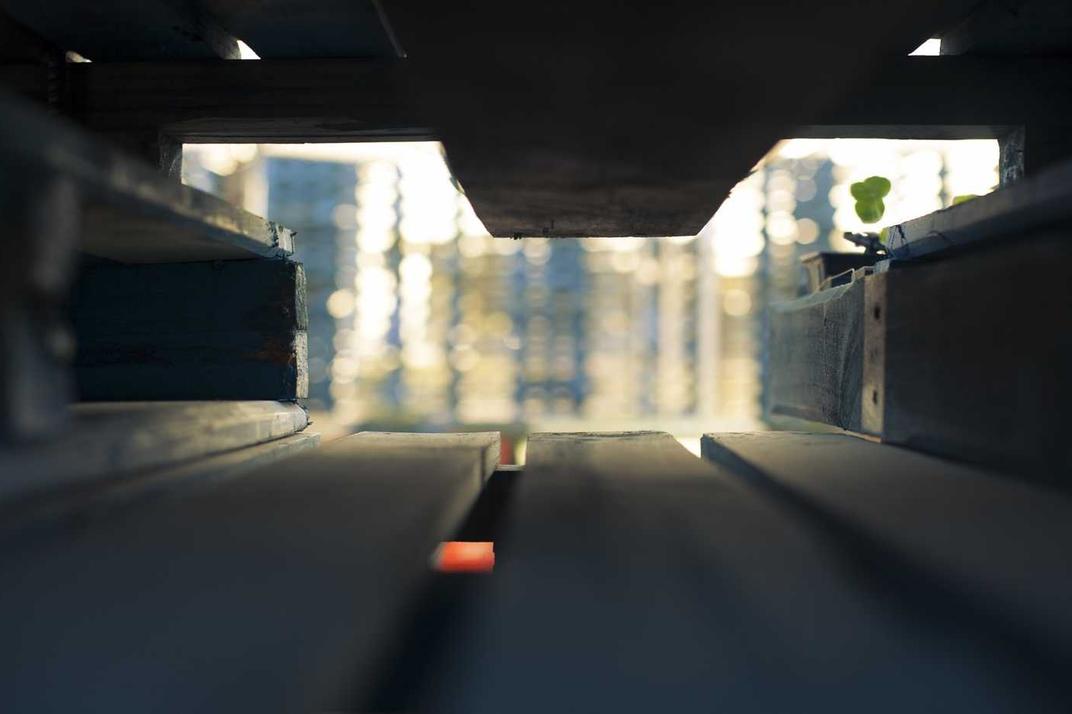 Repudiandae et sed et sed