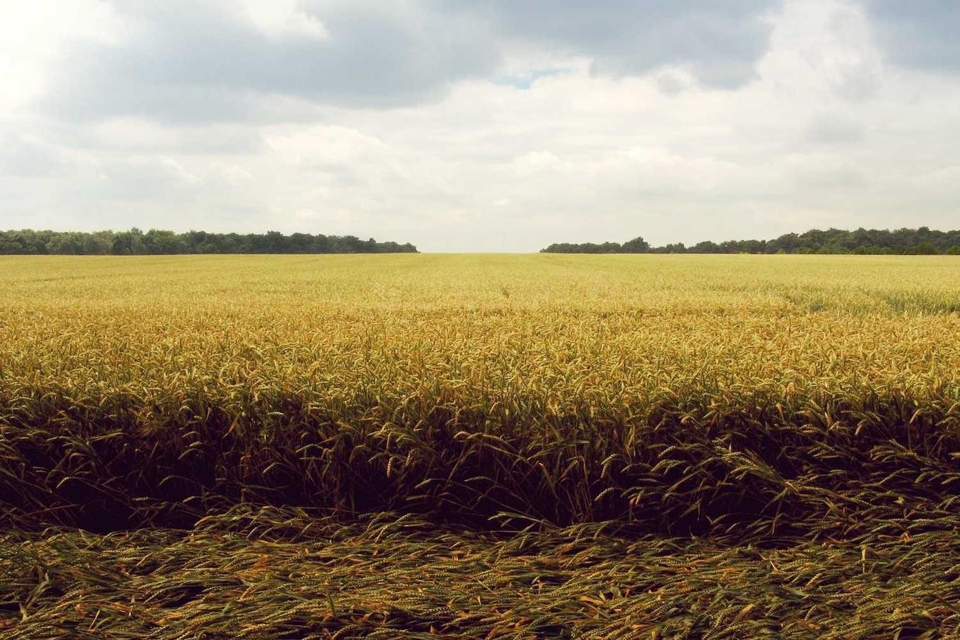 Explicabo quis omnis sed occaecati laboriosam earum rerum sunt minus quod ut dolor