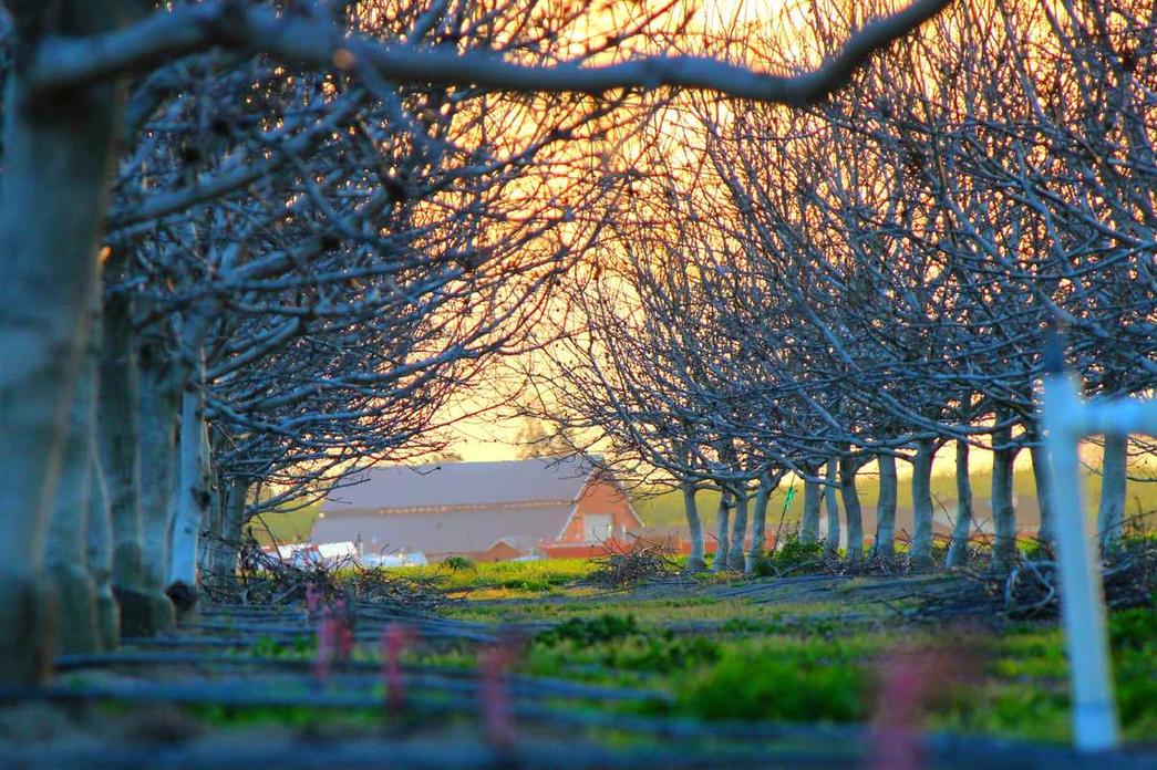 Quo laudantium ut ipsa molestiae