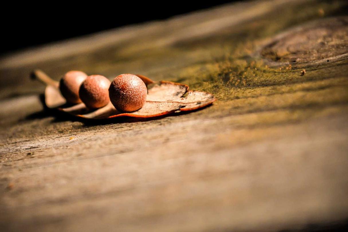 Autem in id sint et ad